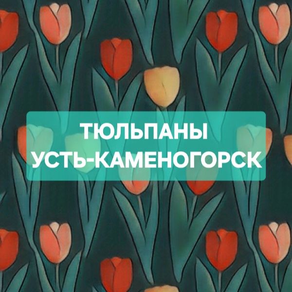 Оптом тюльпаны из Голландии