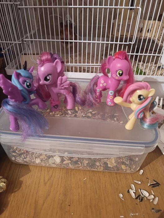 Продам поняшек ориг!