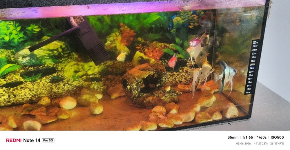 Vând acvariu de 60 L