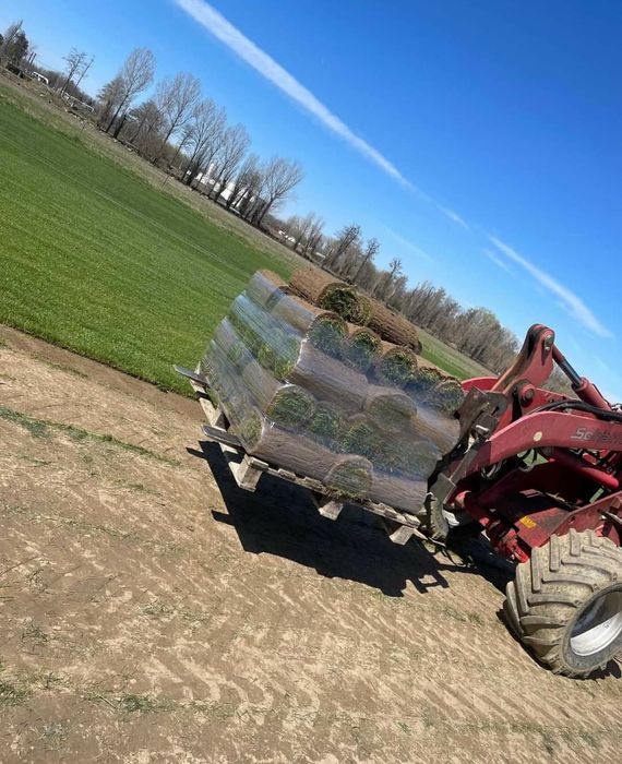 Gazon rulou sport rezistent la soare si umbra