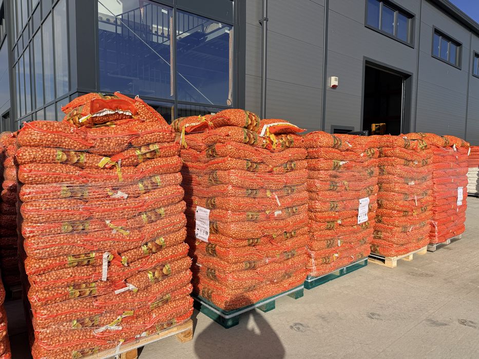 Vand arpagic Olanda, Stuttgarter, Rosu, 14/17