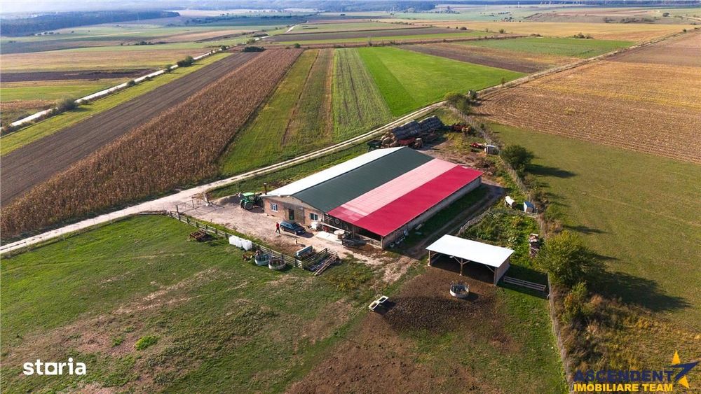 FILM! Zona extinsa, teren mixt,18.000 mp, ideal agro-investitii, Rotba