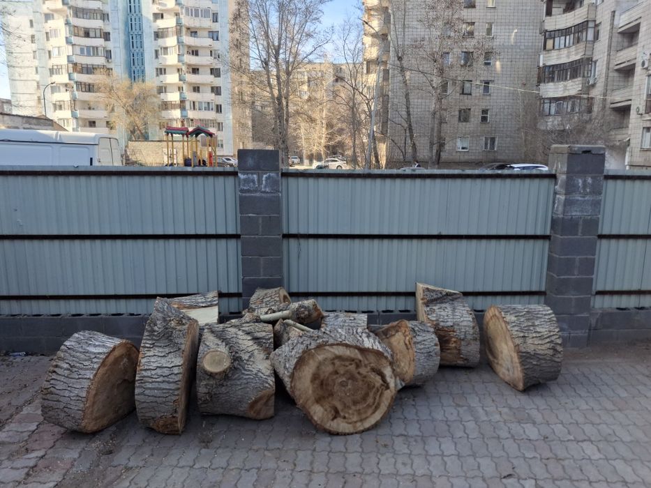 Отдам бревна бесплатно