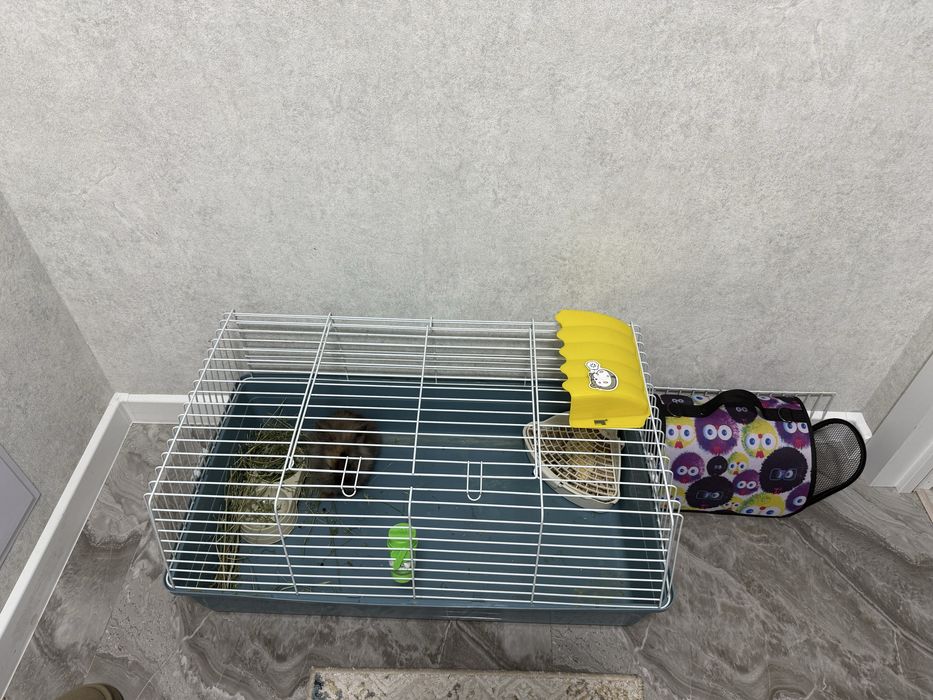 Клетка для Кролика! Подарок.