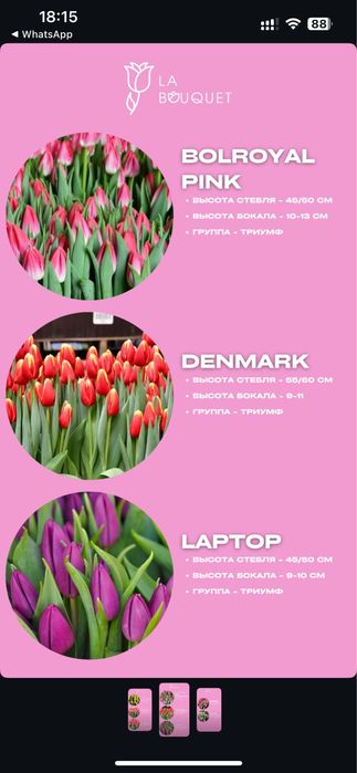 Тюльпаны на 8 марта