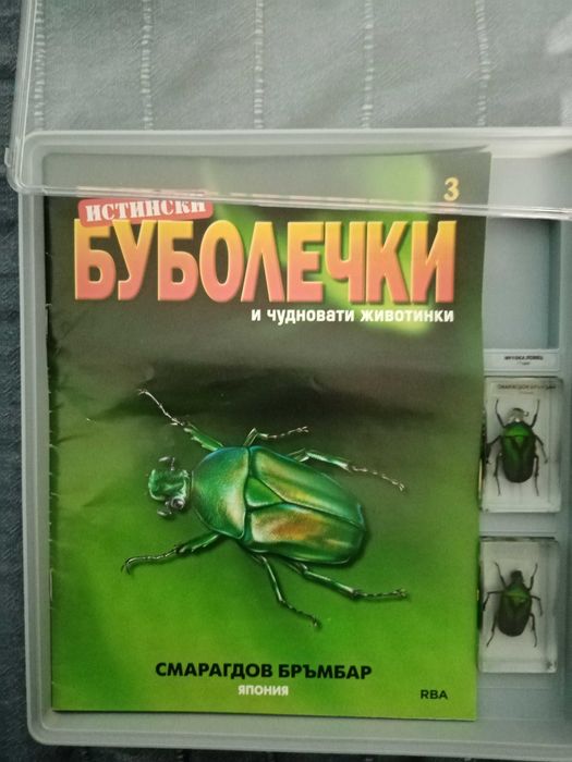 Списание "Истински буболечки" бр. 3 с два смарагдови бръмбара