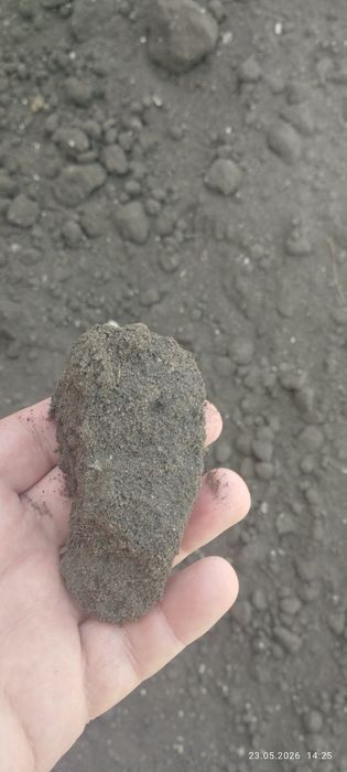 Продам чернозём из леса