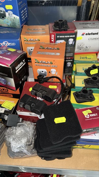 Carburator motocoasa si drujba