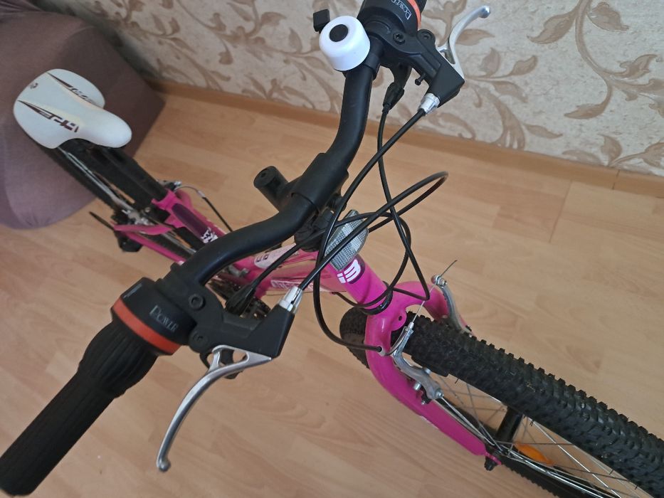 Luna  INTERBIKE 24Inch.