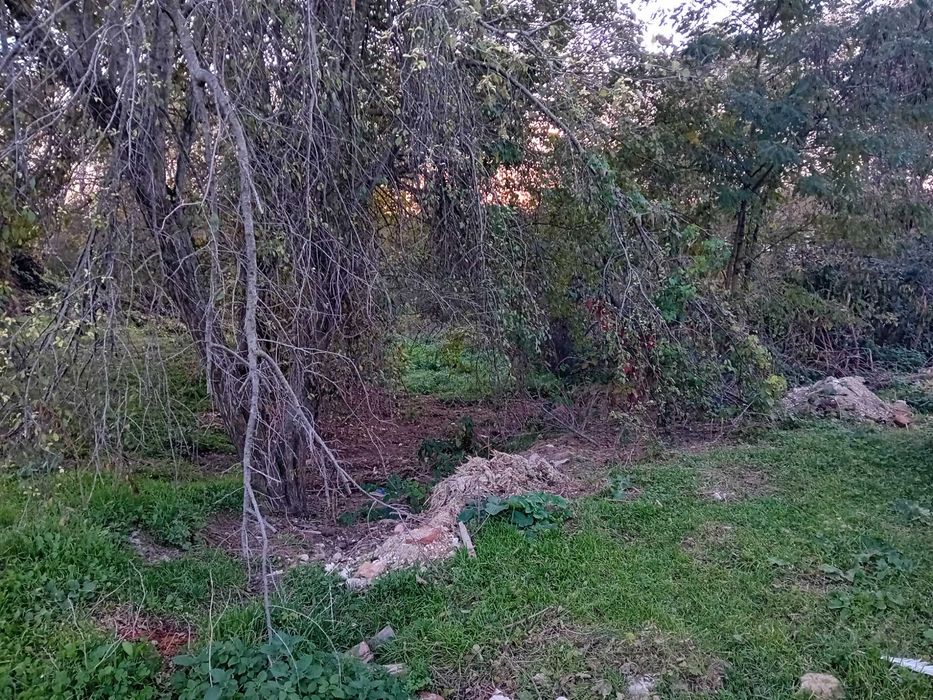 Продава се Парцел в с. Садово, Област Варна - 610 кв.м за 15 €/кв.м - Снимка #3