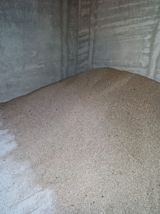 Vând secară 1,5 lei kg