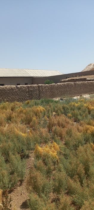 Карши шахар, Чаман МФЙ, Човкай массиви газ, свет, поливной сув бор жой