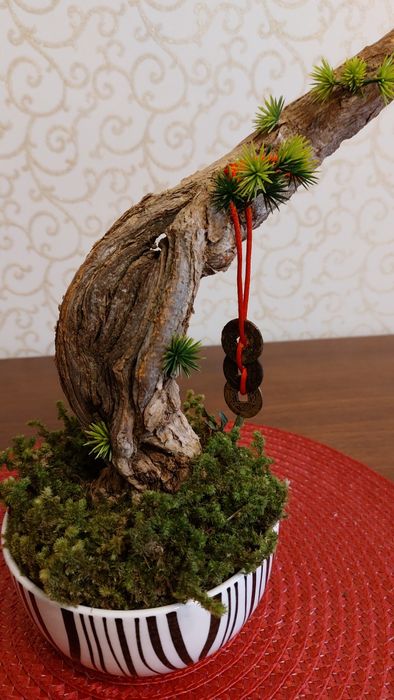 Бонсай ручная работа