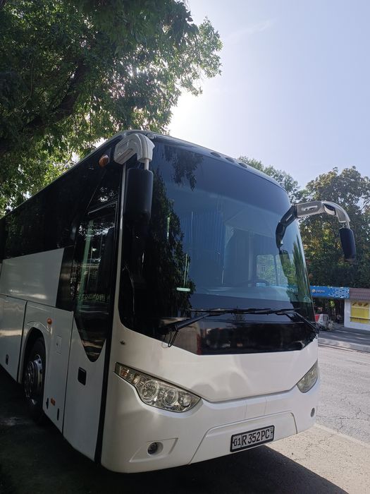 Golden drakon avtobus sotiladi