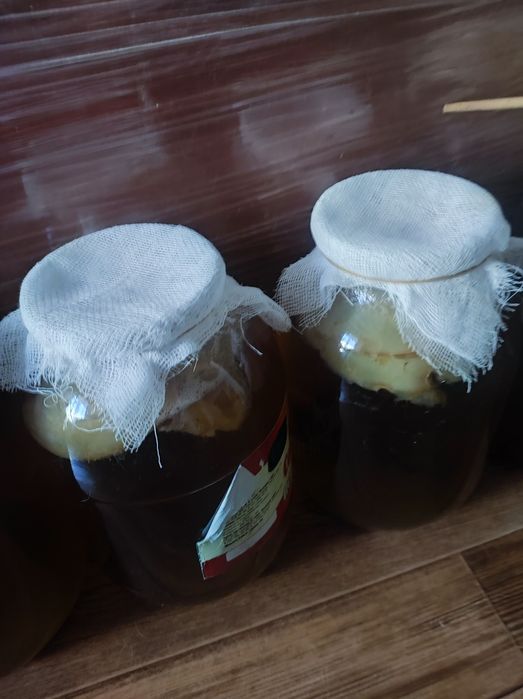 Продам домашний лимонад чайный гриб