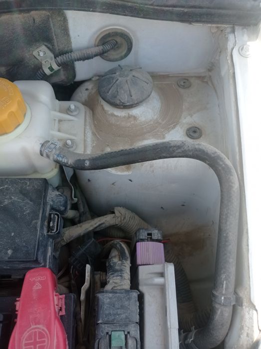 Nexia3.Mexanik.Rangi oq