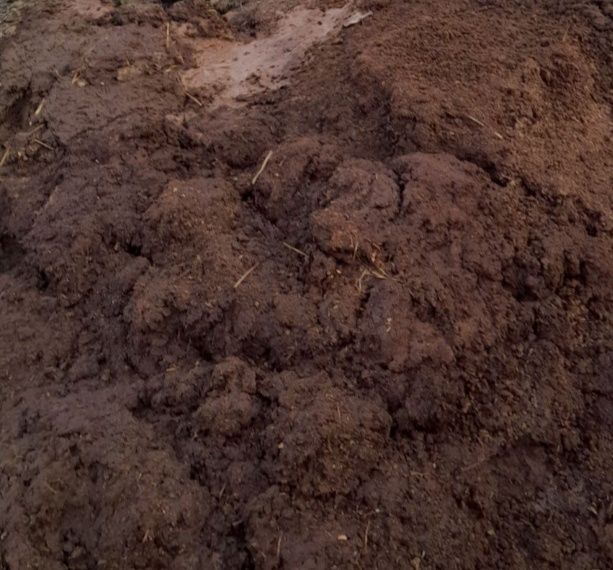 Мол гунги копланган