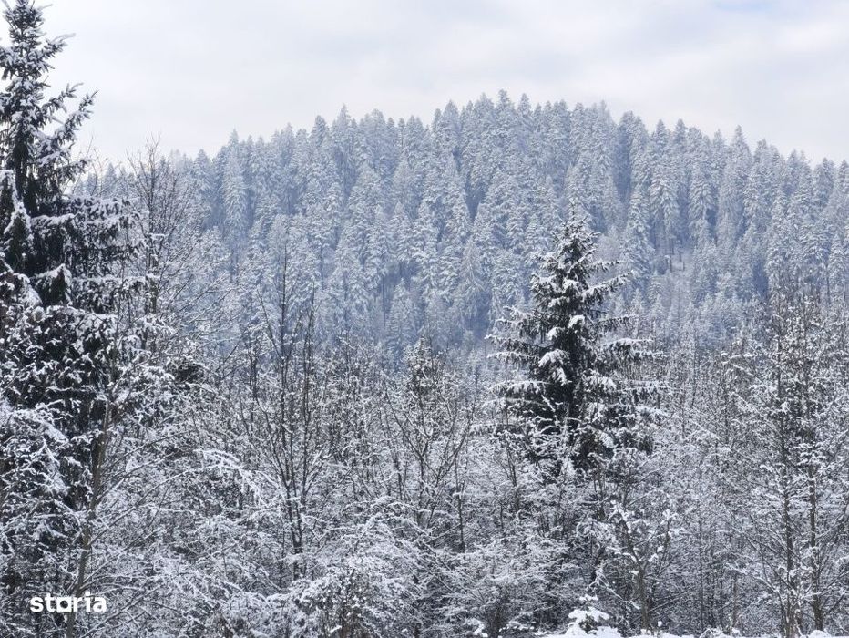 Teren intravilan, 22600mp, zona Manastirea Sucevita