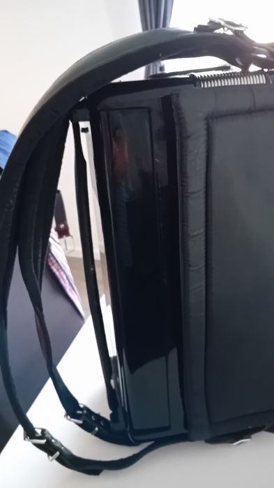 Vind Acordeon Excelseor