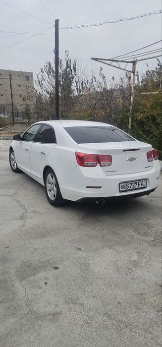 Malibu sotiladi xolati zo‘r