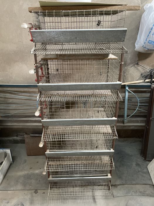 Стеллаж- клетка для перепелов