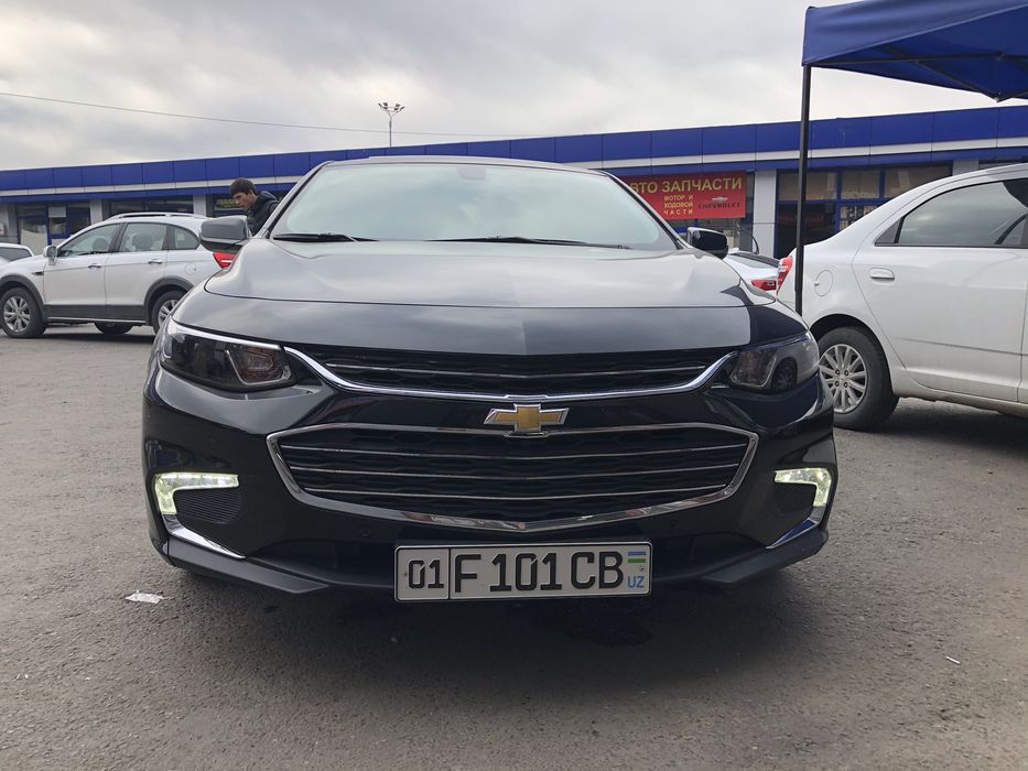 Premier qlish malibu 2 ni