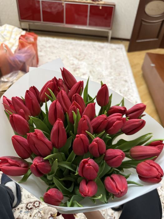 Срочно 31 тюльпан люкс сорт