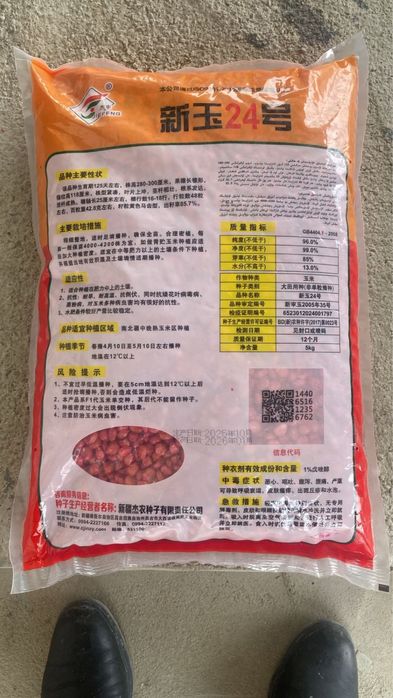 Семена кукурузы