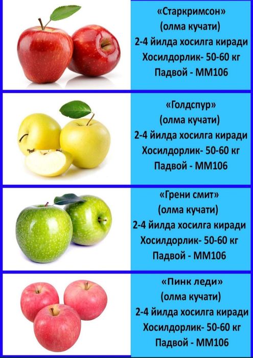 Olomon suratida yalangoch