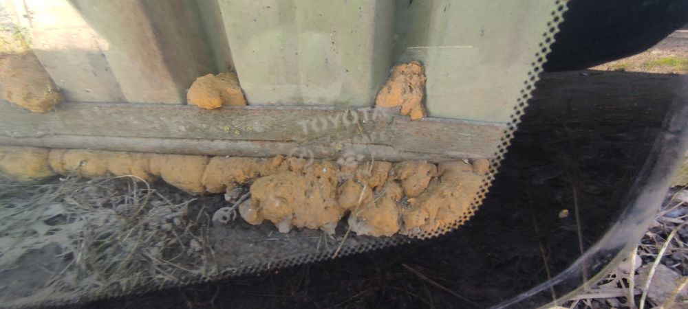 Челно стъкло за Тойота Рав 4 Мк3 Predno staklo za Toyota Rav 4 Mk3