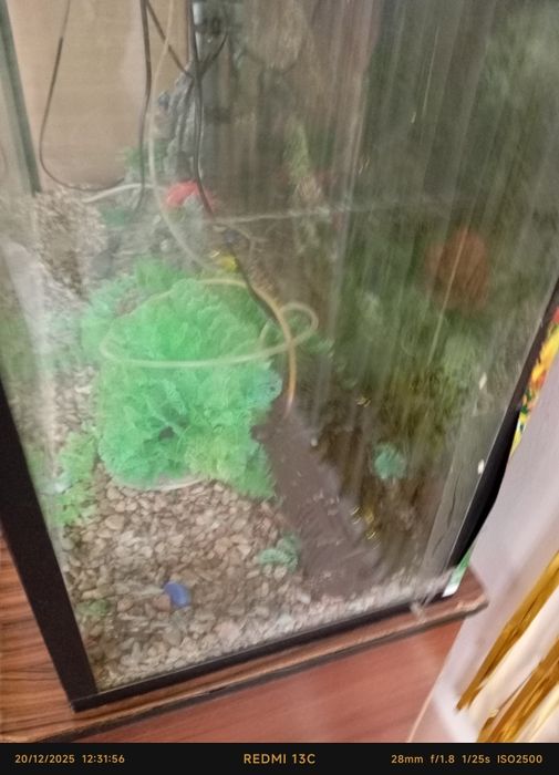 Akvarum baliq lar uchun ham narsasi bor tayyor Viltir bor