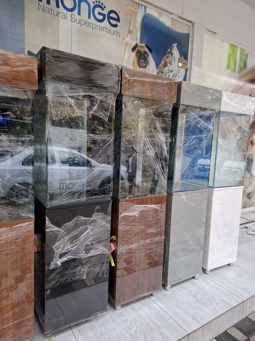 Akvarum va baliq magazin