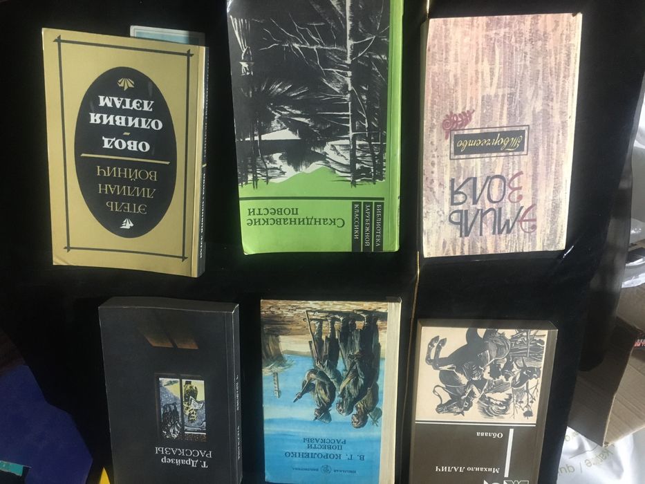 Книга .Жестокий Век.