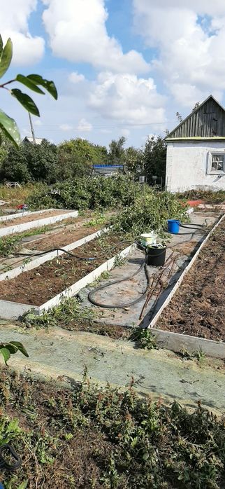 Дача СПП металлург