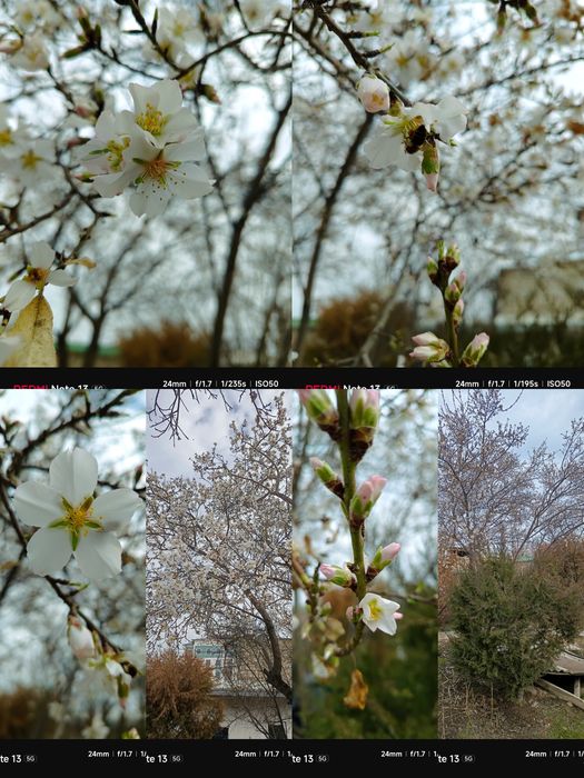 Ака-укалар диккатига! Бир нархда 2 та ер участкаси Карши марказида