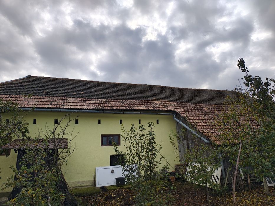 Țiglă veche, tip solzi