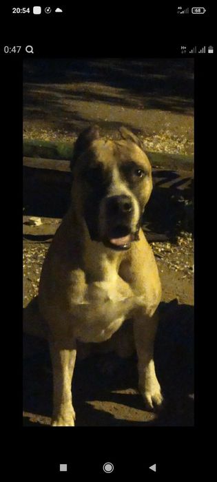 Вязка . Кабель. 4 года