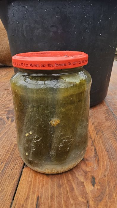 Zacusca vinete  si Castraveti murati