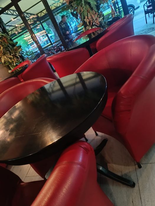 Vand fotolii,mese,decoratiuni televizoare parchet terasa.