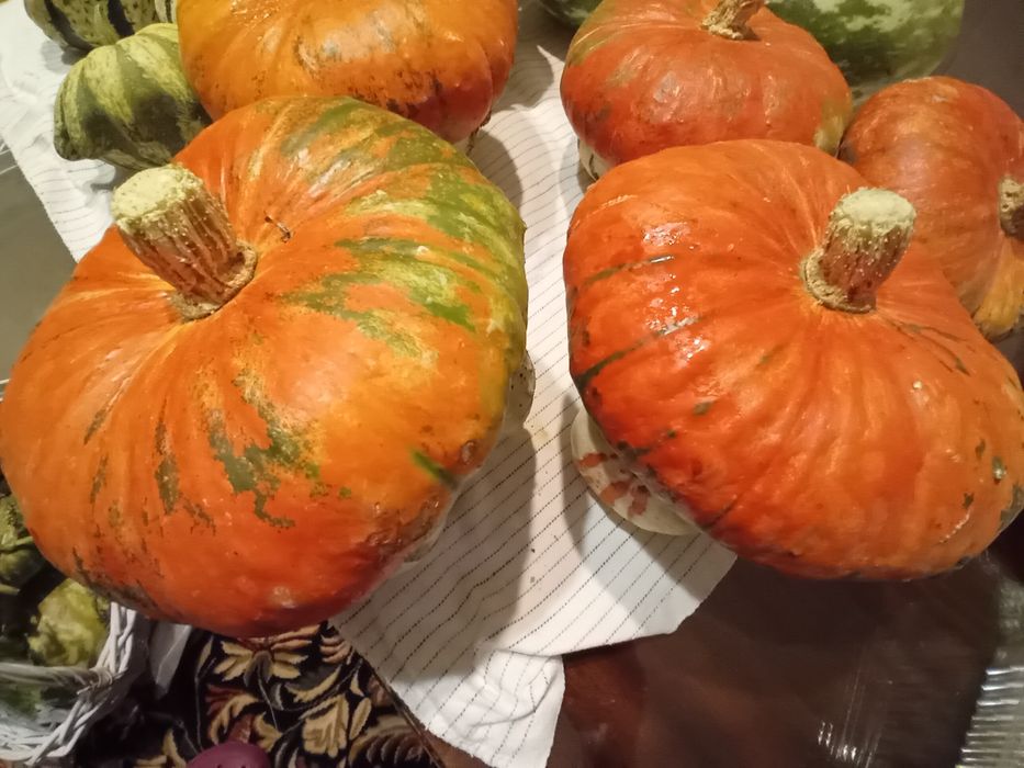 Декоративни тикви