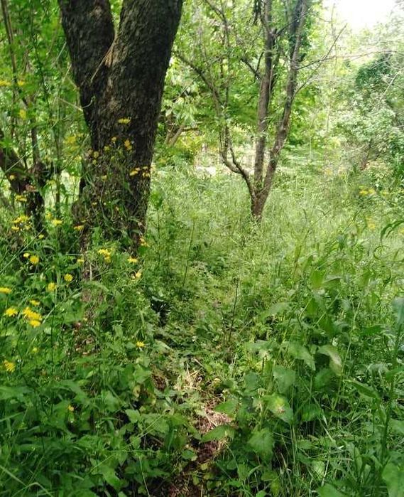 Продава се Къща в Велико Търново, Акация - 125 кв.м за 200 €/кв.м - Снимка #2