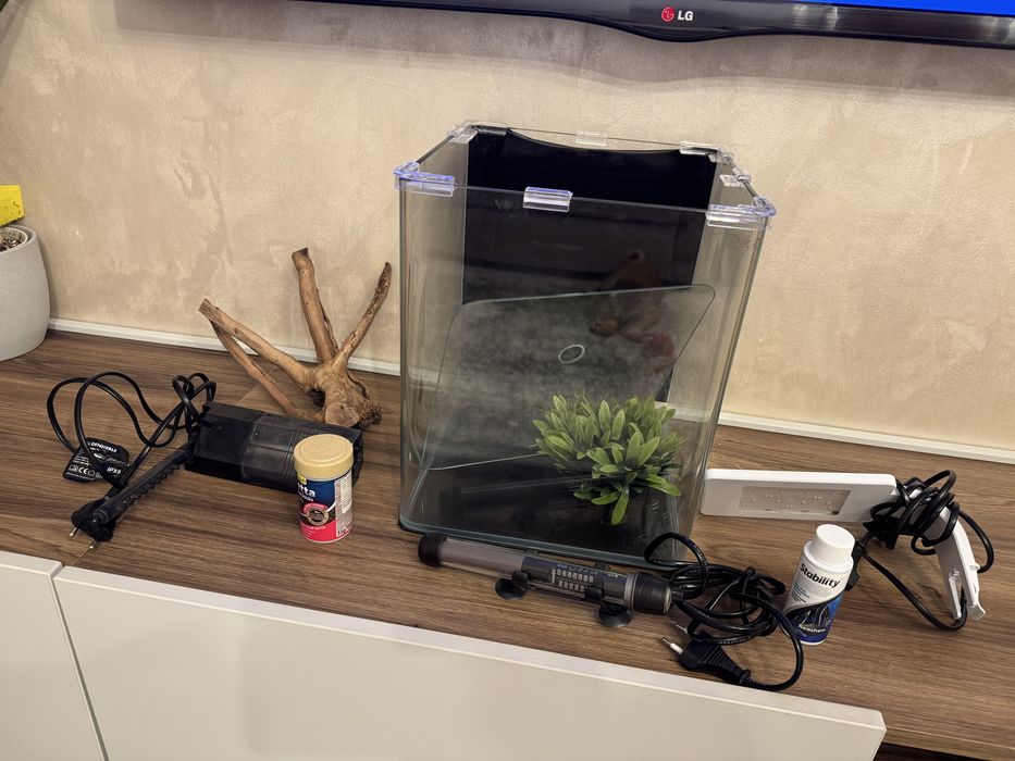 Vând acvariu complet – ideal pentru Betta / creveți / melci