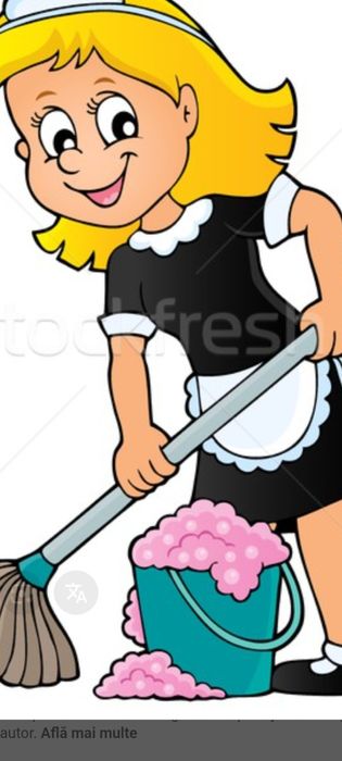 Curatenie case-apartamente-birouri,curti,gradini,curatare pomi,