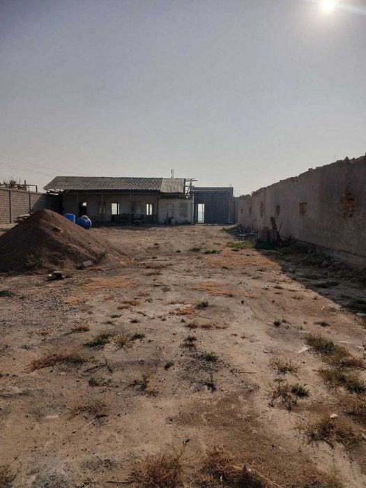 СРОЧНО!!! Ферма сотилади. Тошкент вилояти Уртасарай