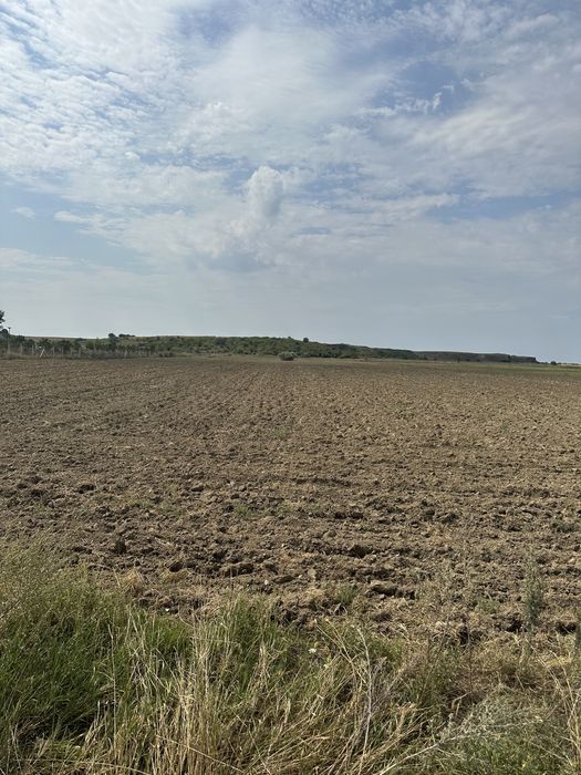 Vând teren 18500 mp