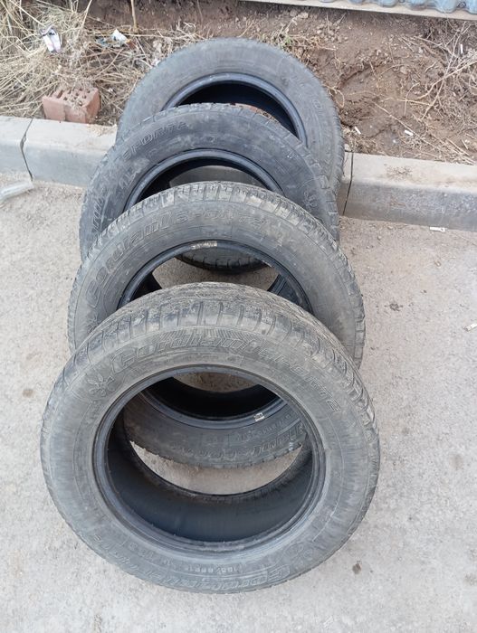 Летня резина Кордиант