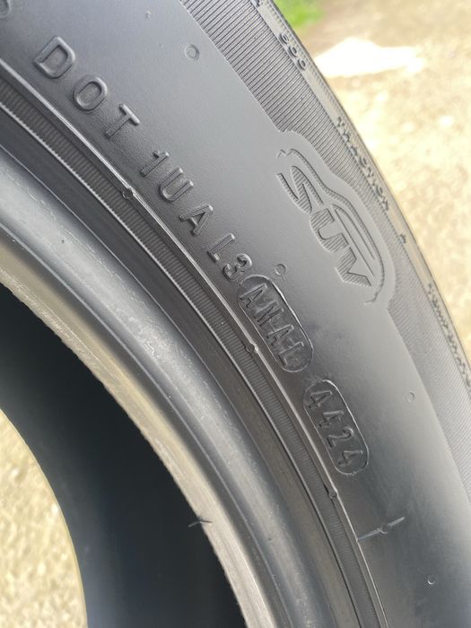 Летный балон R19