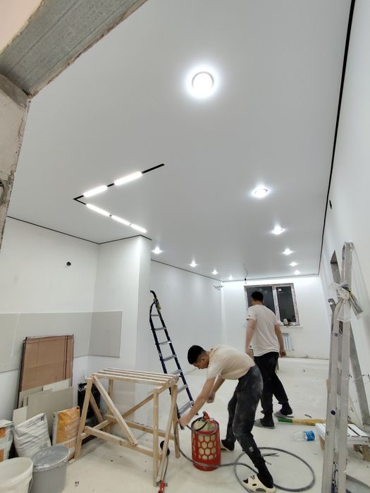 Натяжные потолки 1650