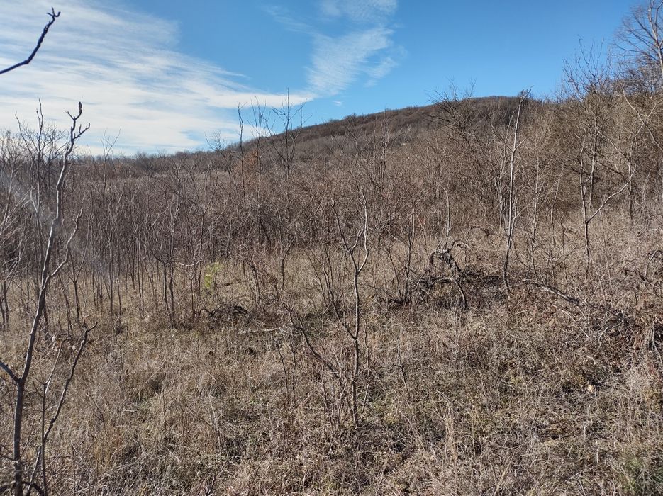 Земеделски имот Шереметя