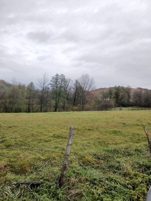 Teren parcele de casă